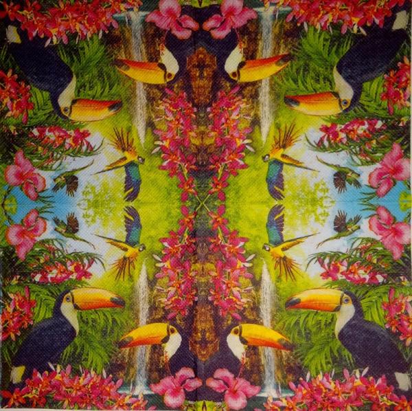 062 Parrot - 1-ply - Soft Touch - CS